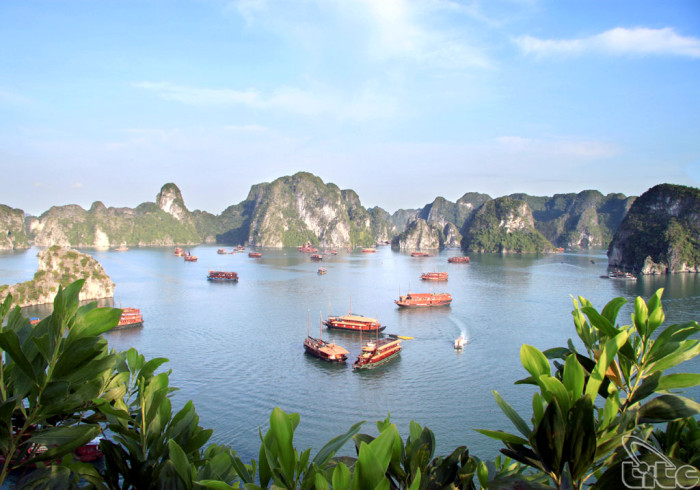 Halong02