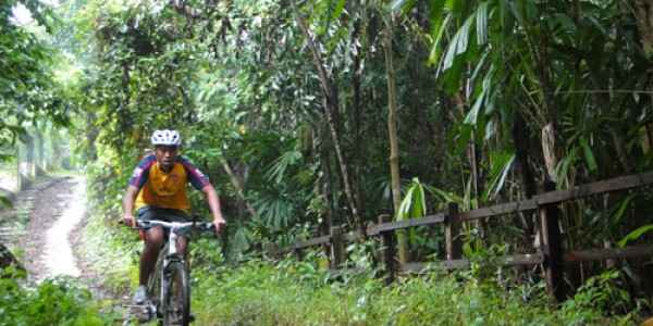 Bukit Timah nature reserve