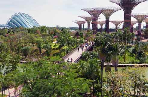 Garden by the Bay