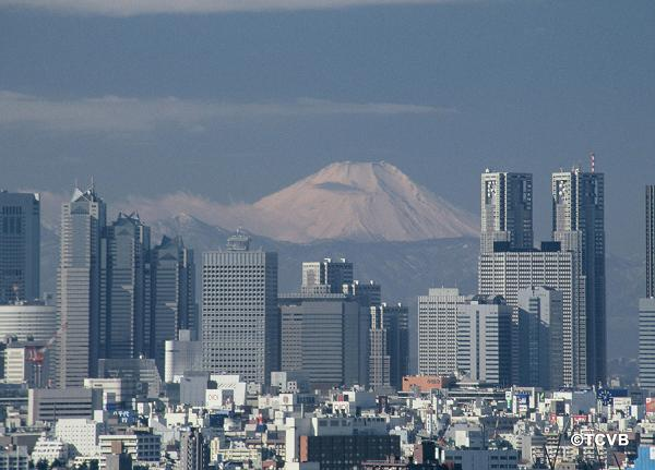 Fujisan and Shinjuku